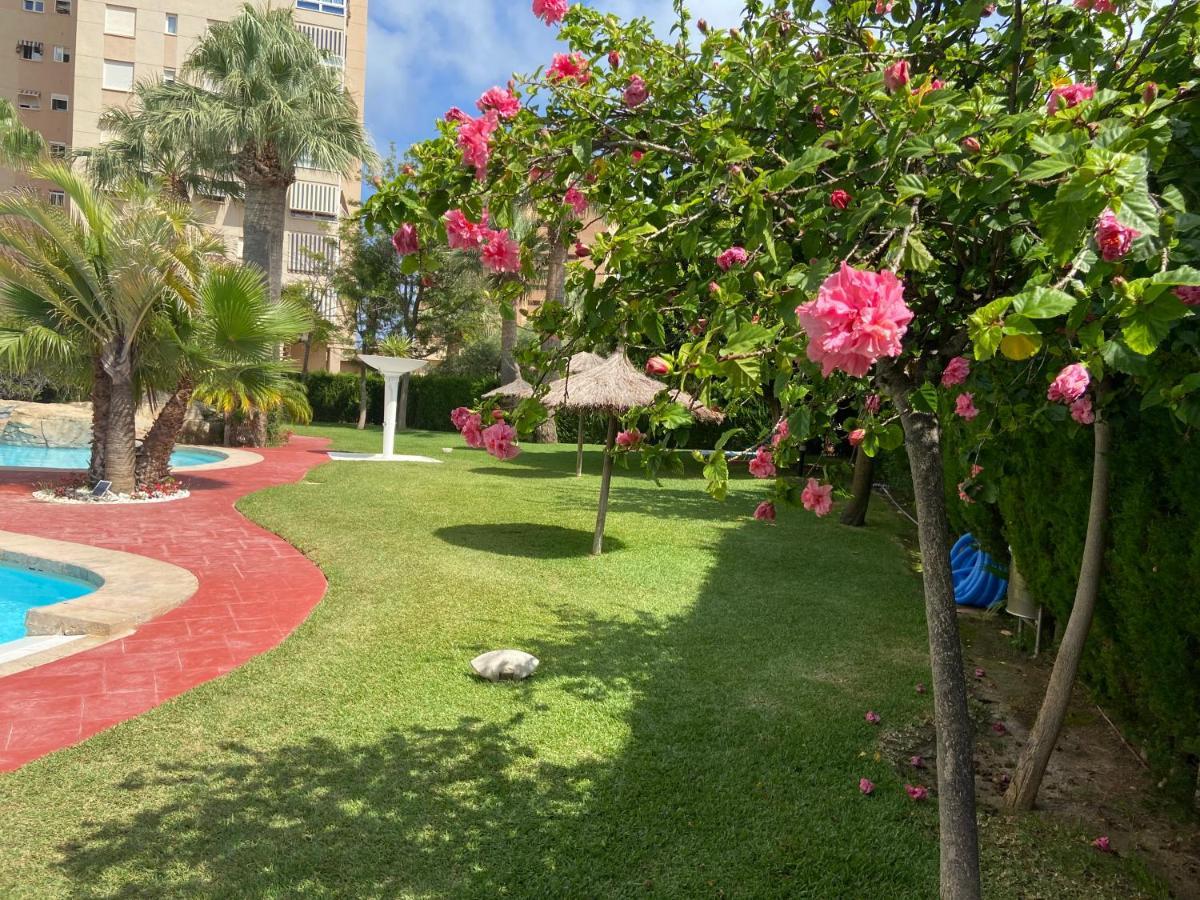 Alicante Apartamento En La Playa Muchavista-San Juan - Marluma Frente Al Mar La Venteta Extérieur photo